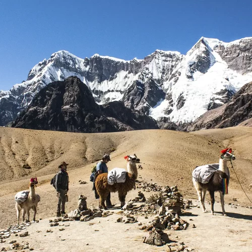 Llama Trek to Rainbow Mountain 4 Days / 3 Nights